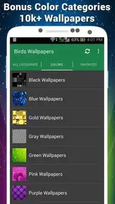 Play Birds Wallpapers