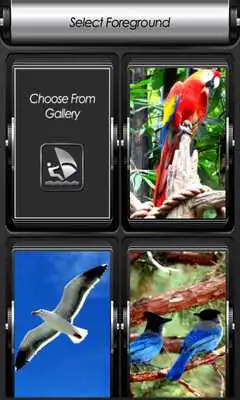 Play Birds Zipper Lock Screen Play Birds Zipper Lock Screen