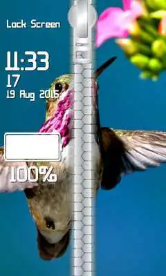 Play Birds Zipper Lock Screen Play Birds Zipper Lock Screen