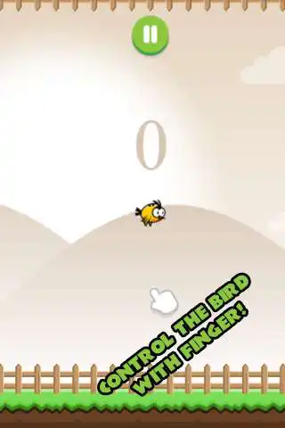 Play Bird Trap