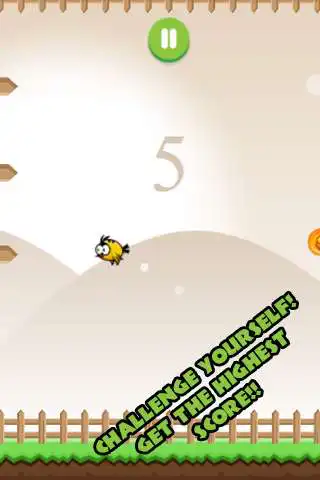 Play Bird Trap