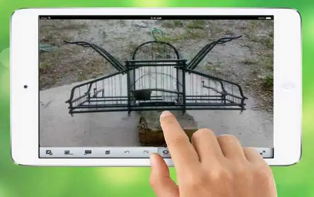 Play Bird Trap