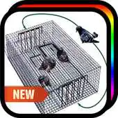 Free play online Bird Traps APK Free play online Bird Traps APK
