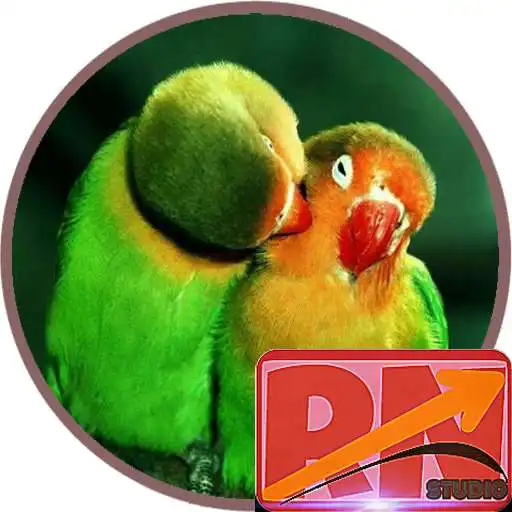 Play Bird Wallpapers 02 APK