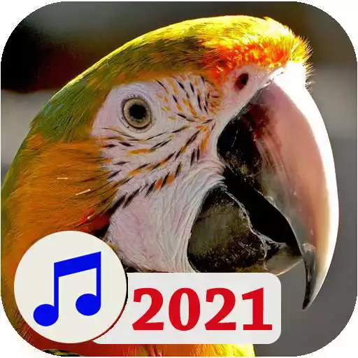 Play Bird : Wallpapers and Ringtones APK Play Bird : Wallpapers and Ringtones APK