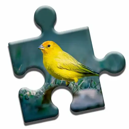 Play Bird Watching Puzzle APK Play Bird Watching Puzzle APK