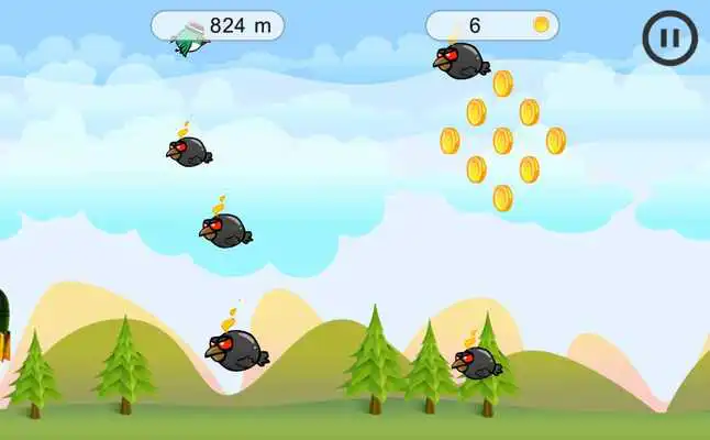 Play Birdy Come