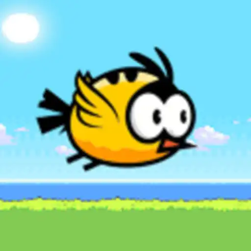Play Birdy APK