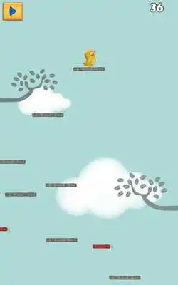 Play Birdys Day Play Birdys Day