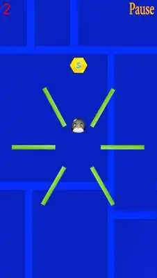 Play Birdy Up Play Birdy Up