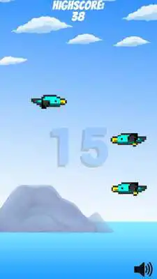 Play Birdz