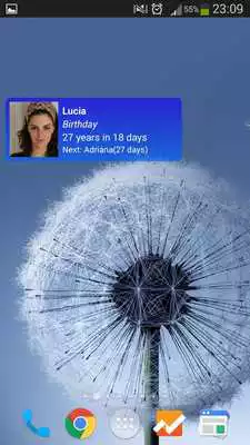 Play Birthdays Reminder