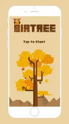 Play Birtree