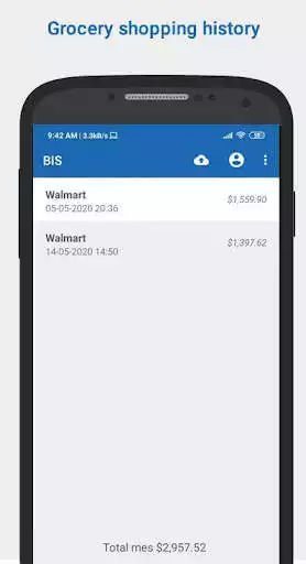 Play BIS grocery shopping list as an online game BIS grocery shopping list with UptoPlay