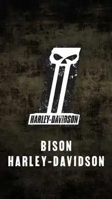 Play Bison Harley-Davidson Play Bison Harley-Davidson