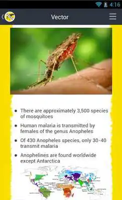 Play BiteBack Play BiteBack