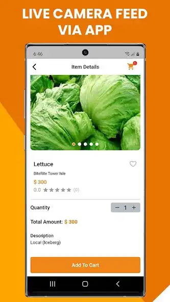 Play BiteRite Admin as an online game BiteRite Admin with UptoPlay