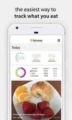 Play Bitesnap