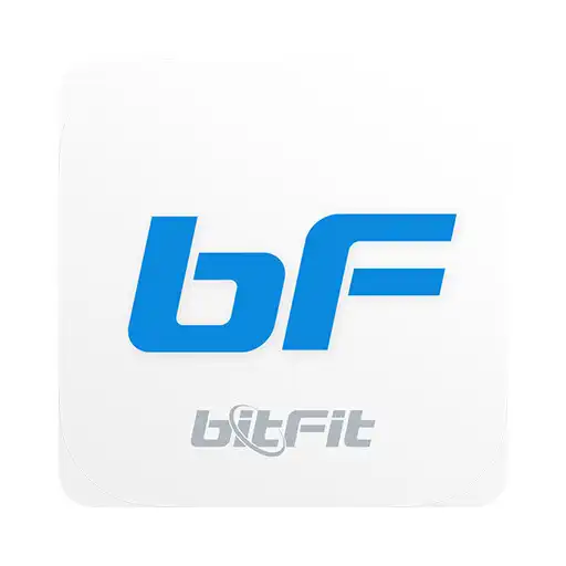 Play bitFit Assets APK