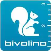Free play online Bivolino - Biometric Sizing APK