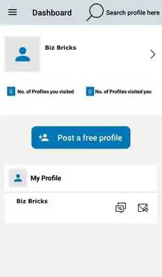Play BizBricks