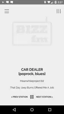 Play BIZZfm