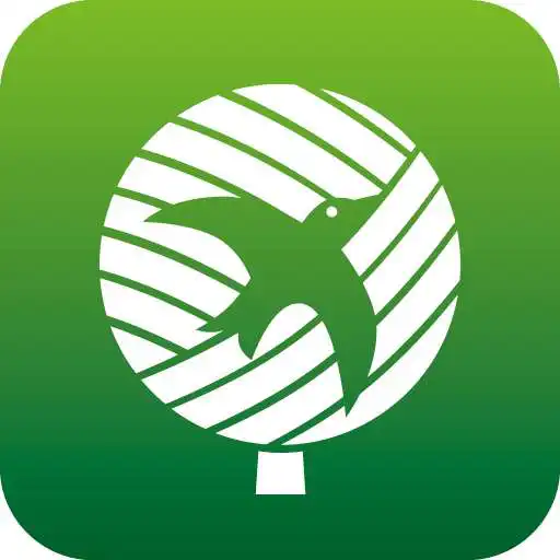 Play BJ Connect APK