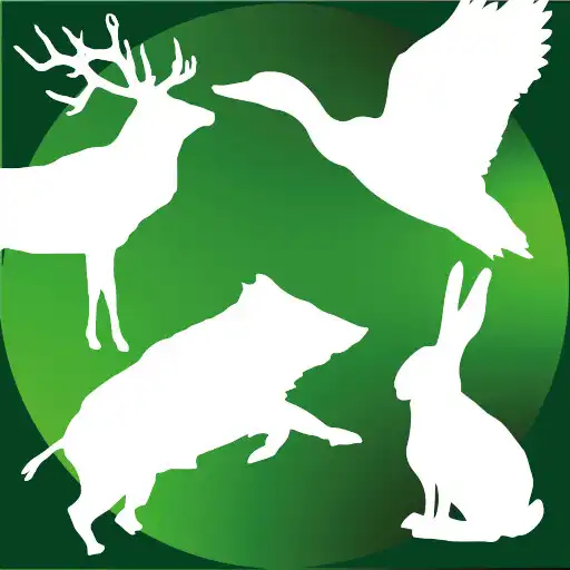 Play BJV Wild Experte APK