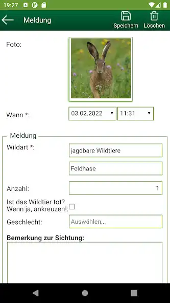 Play BJV Wild Experte as an online game BJV Wild Experte with UptoPlay