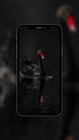 Play Black 4K Wallpaper  and enjoy Black 4K Wallpaper with UptoPlay