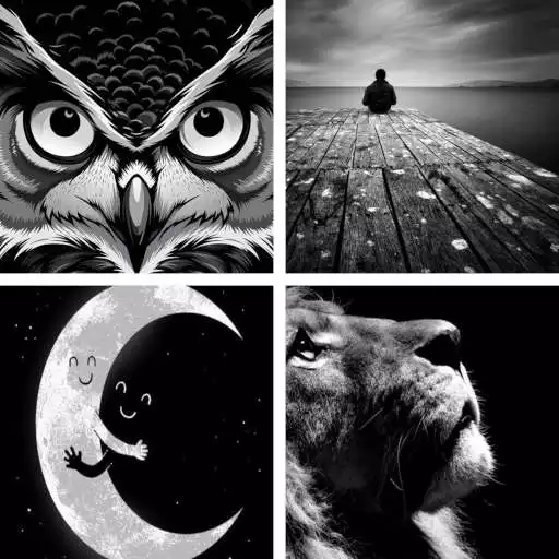 Free play online Black and White HD Wallpapers APK Free play online Black and White HD Wallpapers APK