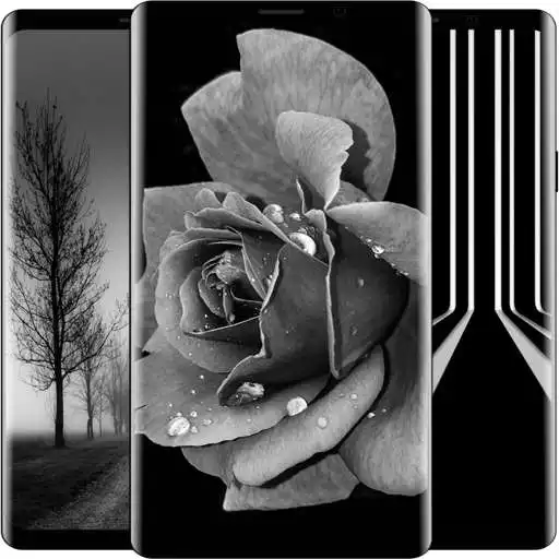 Play Black And White Wallpaper HD APK Play Black And White Wallpaper HD APK