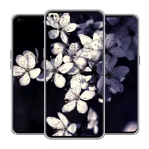 Free play online Black and white wallpaper APK Free play online Black and white wallpaper APK