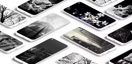 Play Black and white wallpaper
