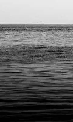 Play Black and White Wallpapers