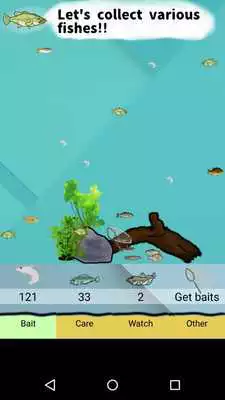 Play Blackbass Breeding Play Blackbass Breeding
