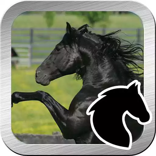 Play Black beauty horse jump APK Play Black beauty horse jump APK