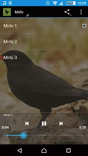 Play Blackbird Singing  and enjoy Blackbird Singing with UptoPlay
