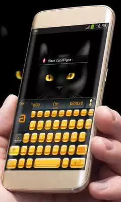 Play Black Cat AiType Theme