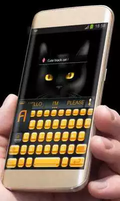 Play Black Cat AiType Theme