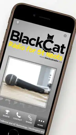 Play Black Cat Radio as an online game Black Cat Radio with UptoPlay