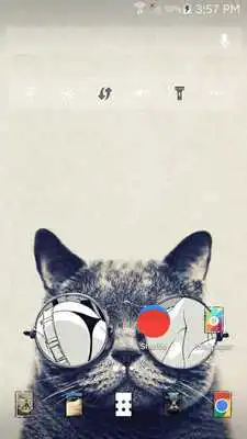 Play Black Cat  Theme  ABC Launcher