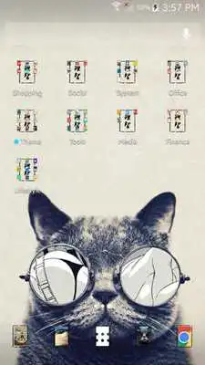 Play Black Cat  Theme  ABC Launcher
