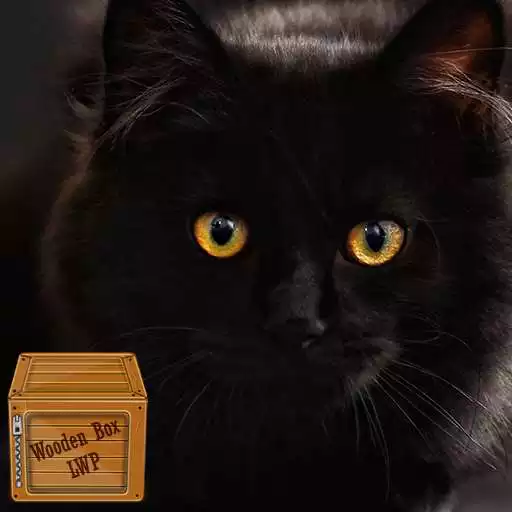 Play Black Cat Wallpaper APK