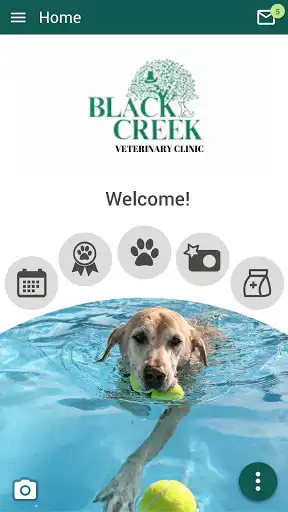 Play Black Creek Veterinary Clinic NY  and enjoy Black Creek Veterinary Clinic NY with UptoPlay