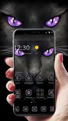 Play Black Evil Cat Dark Theme