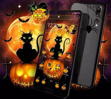 Play Black Halloween Cat Theme