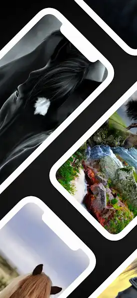 Play Black Horse Wallpaper and enjoy Black Horse Wallpaper with UptoPlay Play Black Horse Wallpaper and enjoy Black Horse Wallpaper with UptoPlay