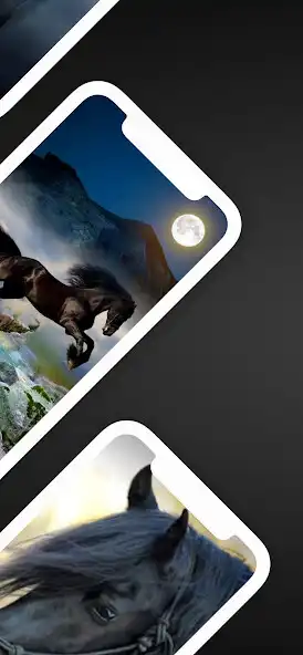 Play Black Horse Wallpaper as an online game online Black Horse Wallpaper with UptoPlay Play Black Horse Wallpaper as an online game Black Horse Wallpaper with UptoPlay