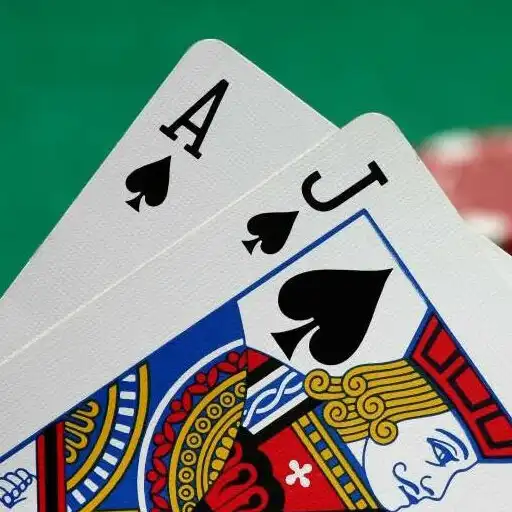 Play Blackjack-Cardcounter APK Play Blackjack-Cardcounter APK